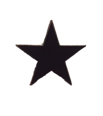 DAVID BOWIE INSPIRED BLACK STAR BLACKSTAR ALBUM COVER ART METAL PIN BADGE