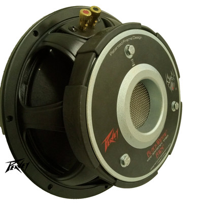 国産メーカー Venetor Sound 希少　VT-SP10PBK　USED Peavey 1208-8 SPS BWX Black Widow 12
