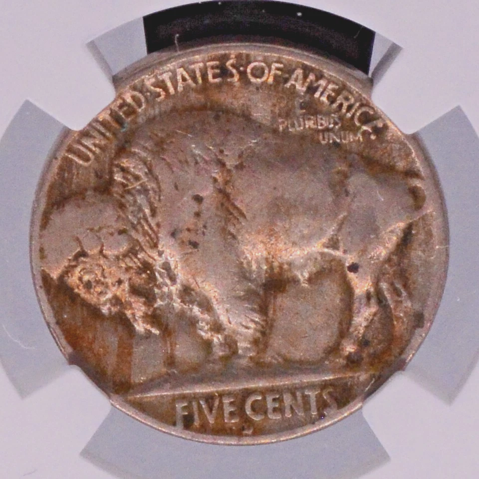 NGC VF-20! 1913-D TYPE 2 BUFFALO NICKEL - Image 2 of 3