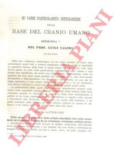 CALORI Luigi - Su varie particolarità osteologiche della base del cranio umano.