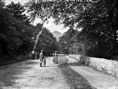 Glen of the Downs, Co. Wicklow Ireland c1900 OLD PHOTO