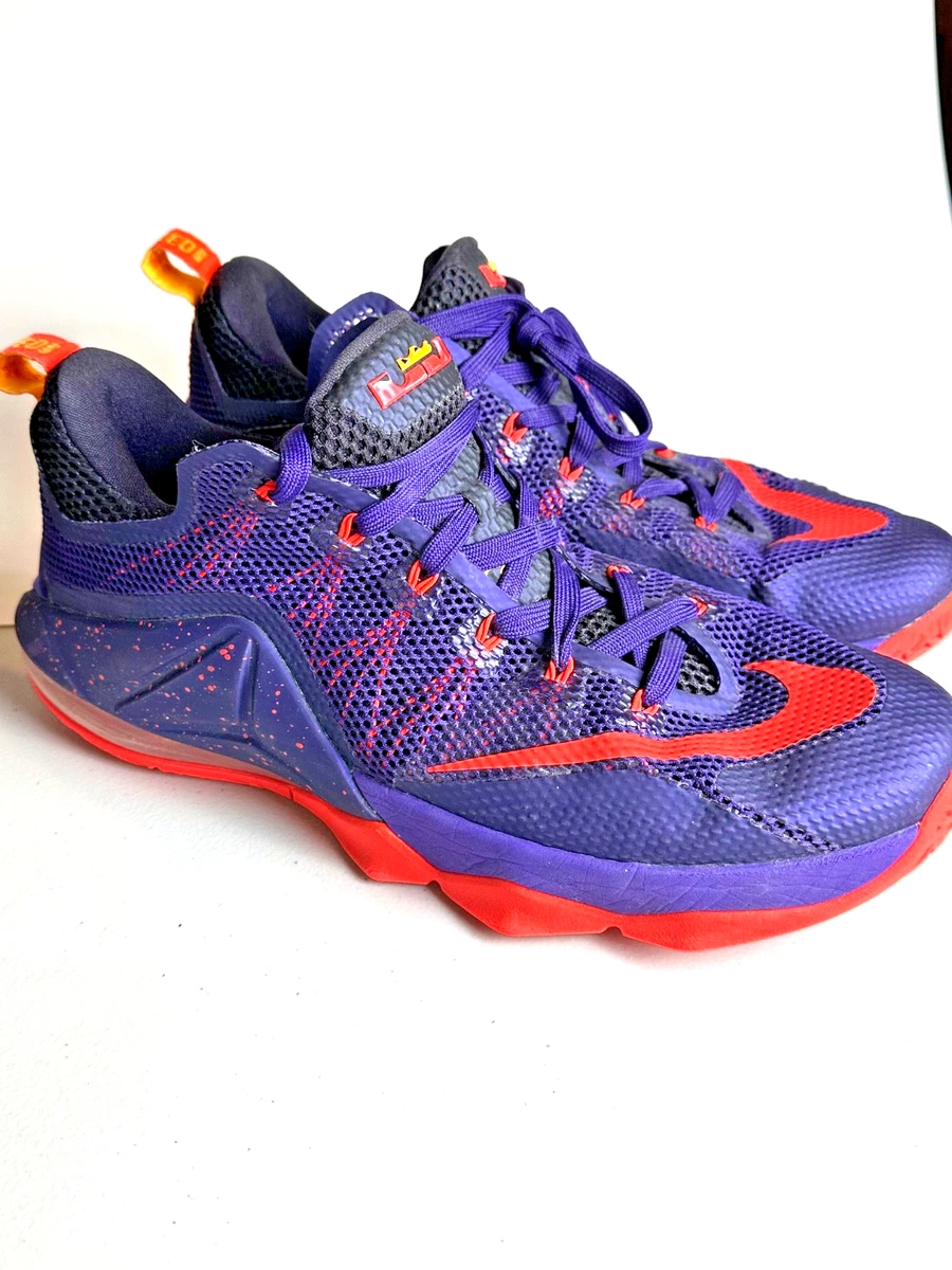 Nike Lebron James 12 XII Low Court Purple Basketball Men