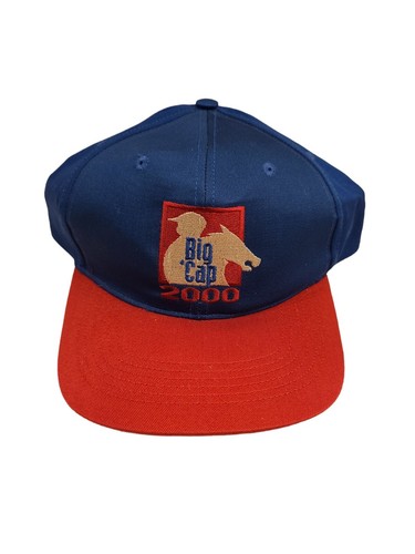 Vintage Santa Anita Park Horse Race Track Big Cap 2000 Blue Red Racing Snapback - Picture 5 of 6