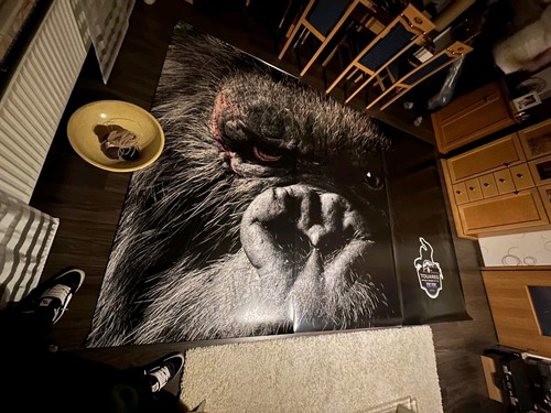 KING KONG SKULL ISLAND MEGA POSTER 3,6×2,4 METER!!WETTERFEST ABSULUTE RARITÄT - Bild 3 von 5