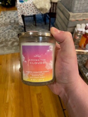 BATH & BODY WORKS Single Wick 8oz Jar Signature Candle - Pick One
