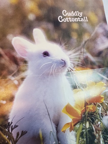 Vintage 1978 Weekly Reader Book Club Cuddly Cottontail Bunny Rabbit Poster 16x21 - Picture 2 of 4