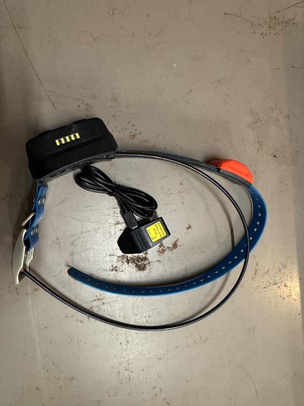 Garmin T-5 tracking collar