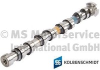Kolbenschmidt 50007853 Nockenwelle FüR Citroen FüR Peugeot FüR Mini