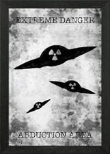 Listing image for UFO ABDUCTION SIGN Framed Wall Art Poster Canvas Print Picture