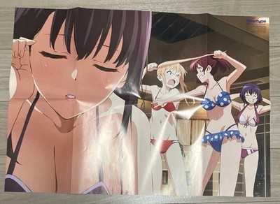 Neuer Typ Juni 2017 Poster Saekano Kemono Friends