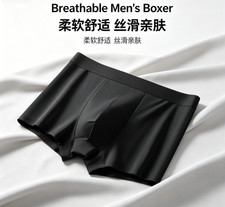 2Pcs/Lot Men's Summer Ultra-thin Boxers Briefs Ice Silk Breathable Underwear