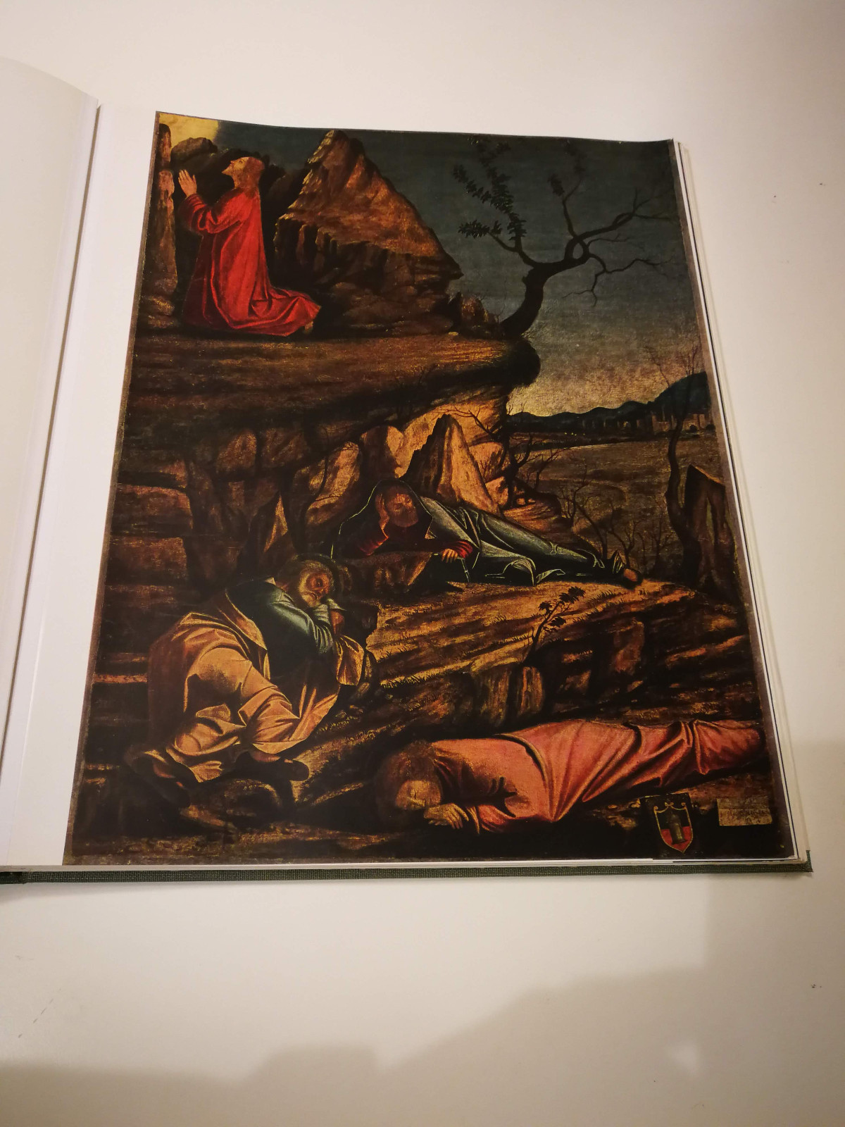 Picture 2 of 8