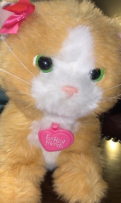 FurReal Friends 2012 Hasbro Daisy Plays With Me Interactive Kitty Cat Orange NEW 653569847212 | eBay