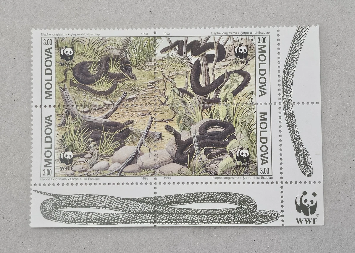Prophila Collection Motivazioni 50 Diversi Wildlife Francobolli
