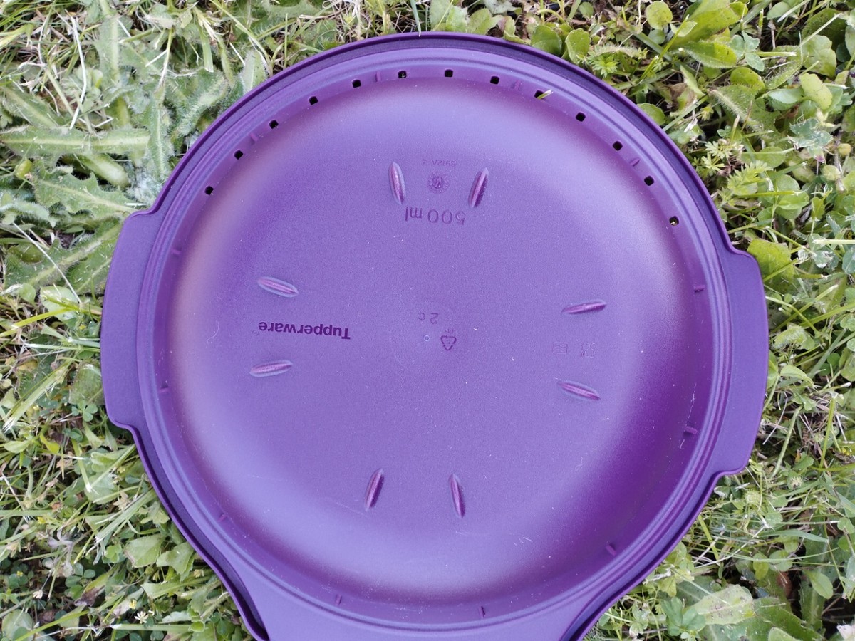 micro vap tupperware violet MICRO VAP TUPPERWARE+LIVRE de recettes EUR 55,00