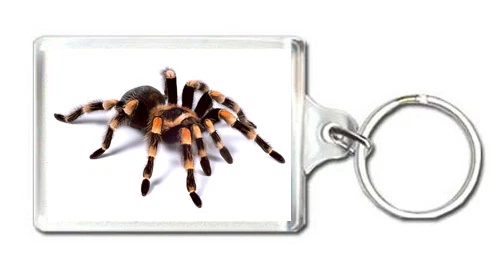 TARANTULA KEYRING LLAVERO