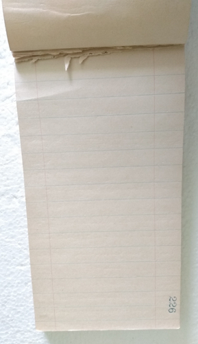 2 Vintage Reporter's Notebook No 487 ephemera Hawaii geneaology notes Seabury - Picture 4 of 8