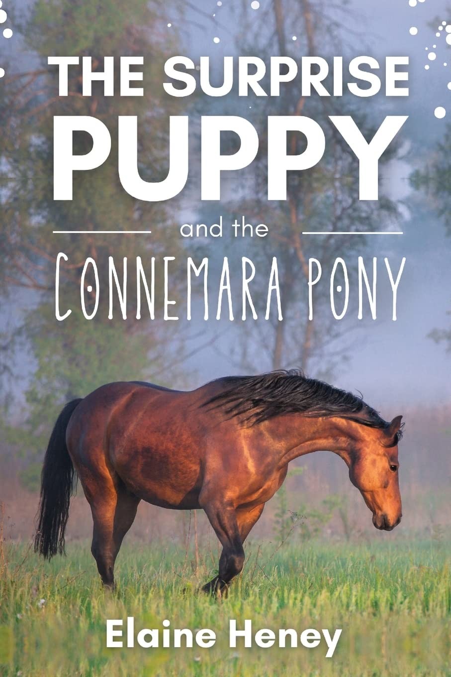 The Surprise Puppy and the Connemara Pony - The Coral Cove Horses Series: 3 (Co - Image 4