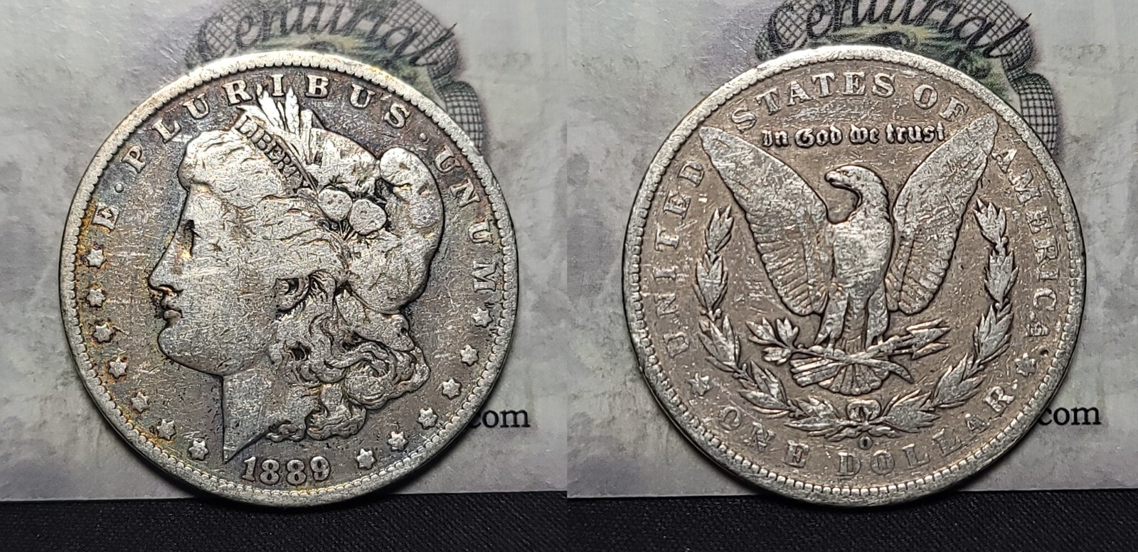 Picture 1 of 7