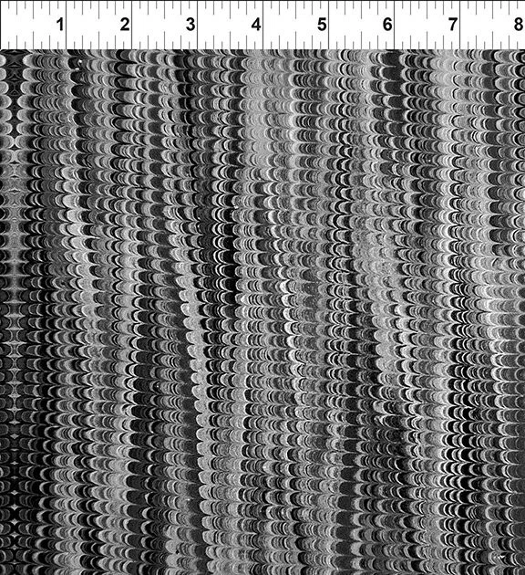 Tela de edredón 100 % algodón estampado gris TINY HILLS en el principio yarda Foto 2 de 2