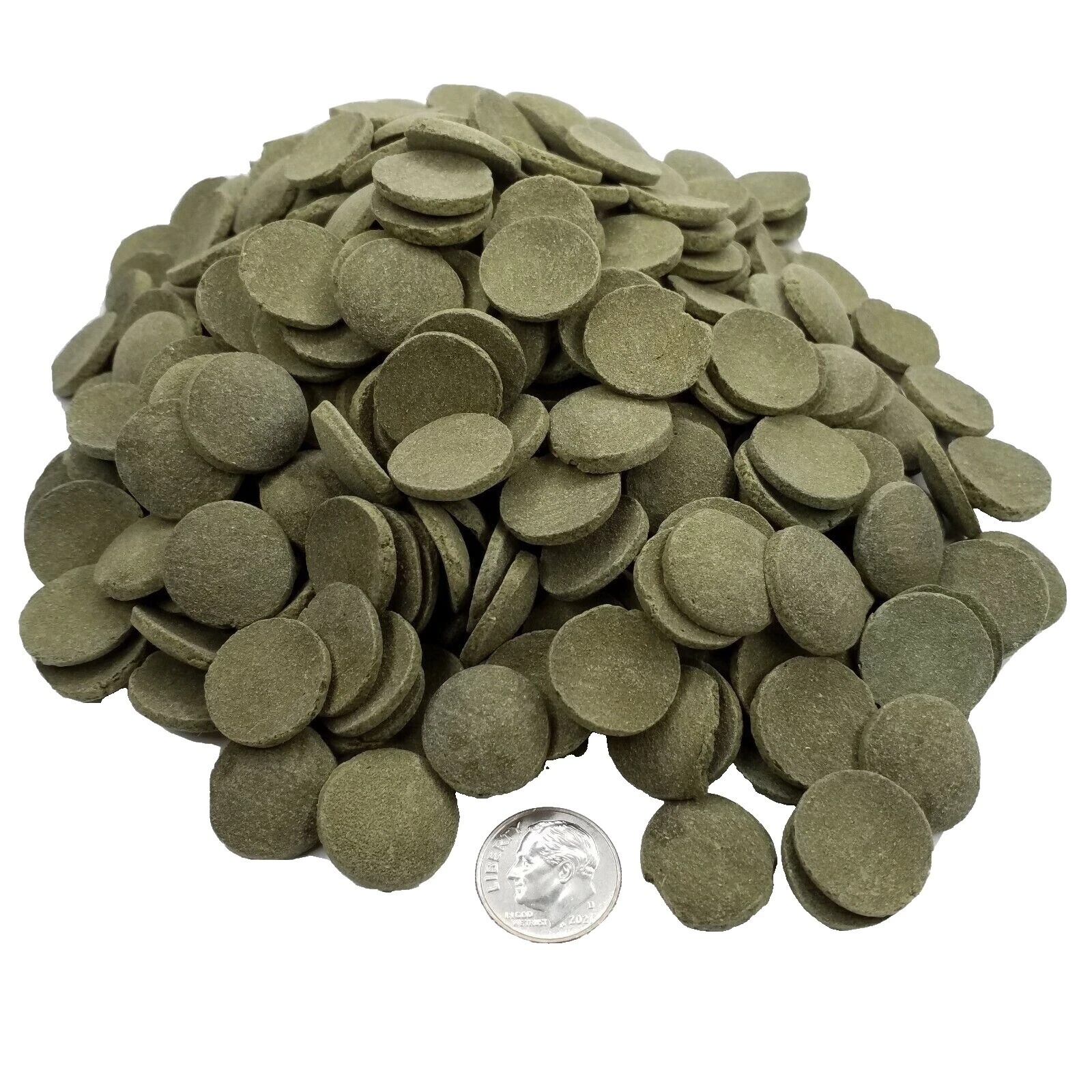 Catfish oblea de algas comida para peces