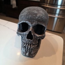 Scary Skull for Halloween Decoration Graveyard Outdoor Grey Hollow Haunted House
