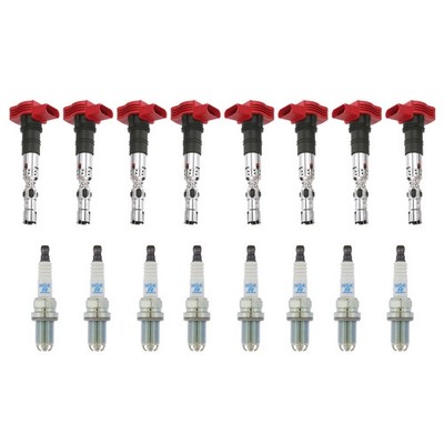 Eldor 8 Ignition Coils NGK Platinum Spark Plugs Kit for Cayenne Touareg S4 S6 S8