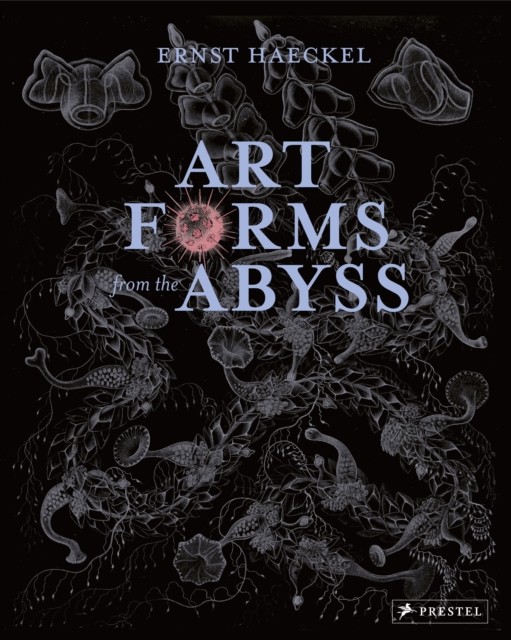 Art Forms from the Abyss by David J Roberts (Paperback Book)