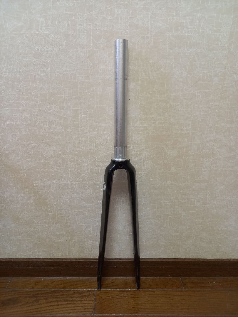 Alpina Alpina Full Carbon Road Fork Piste | eBay