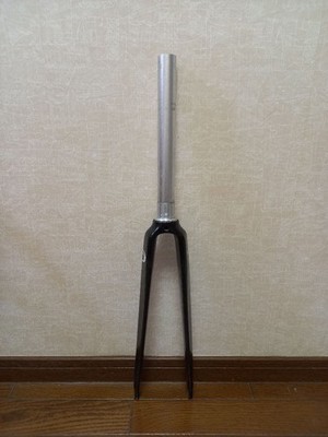 Alpina Alpina Full Carbon Road Fork Piste | eBay