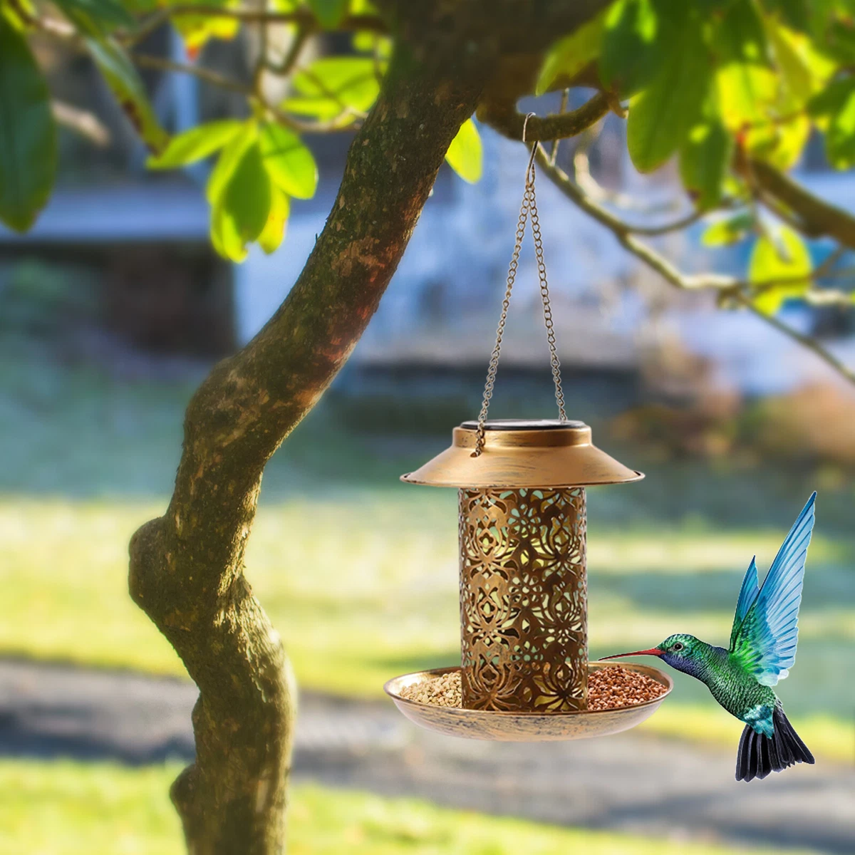 Bird hot sale feeding bowl