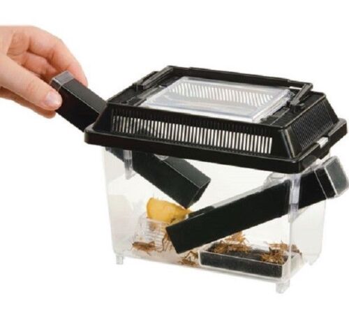 CRICKET PEN - (7" x 5.5" x 4.3" inch) - Reptiles Live Insect Food Holder bp Box  - Photo 1/5