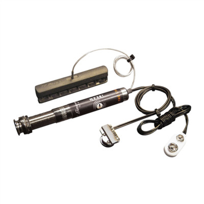 LR Baggs Ibeam