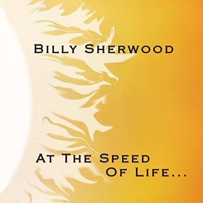 #ad #ad Billy Sherwood At The Speed Of Life New CD UK Import $9.27