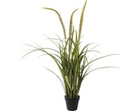 Kunstpflanze Miscanthus HöHe: 90 Cm GrüN