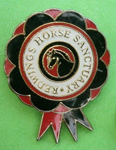 F580*) Enamel Redwings Horse Pony Sanctuary rosette tie lapel pin badge - Picture 1 of 2