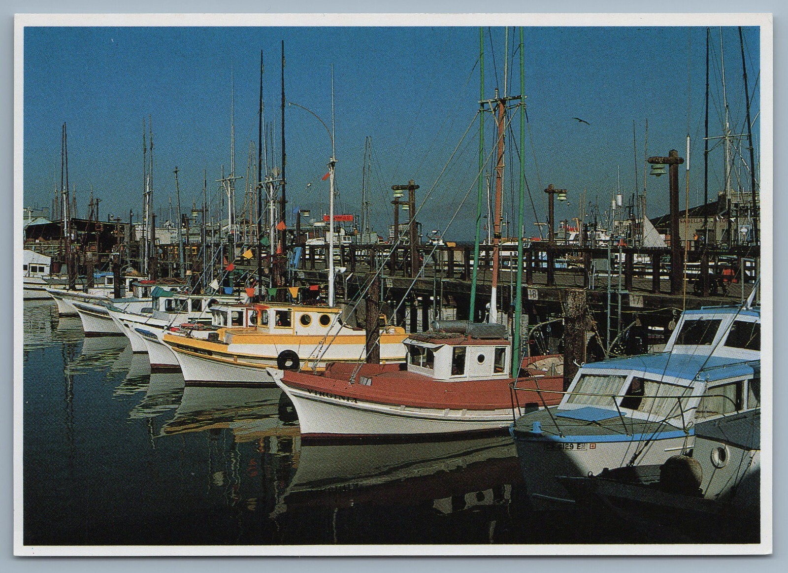 Vintage 1982 Fishermen's Wharf SF Boat Dock Fishing Fleet Postcard C6