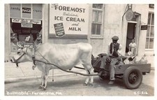 FOTO REAL FL 1950 Florida Bullmobile Trash Man en Fernandina, FLA - Nassau Co