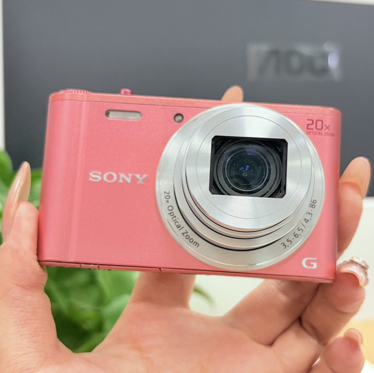 SONY Cyber-shot DSC-WX350 18.2 MP 20x Digital Zoom Digital Camera