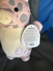 Squishmallows Hug Mees 10” Aquitaine Spotted Pig Easter  NWT Plush — photo 4