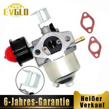 Generator-Vergaser-Set mit Dichtungen für 1P56F LP42-99 Rasenmäher Motor Teile
