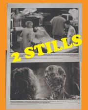 Kevin Bacon is HOLLOW MAN - 2 movie stills