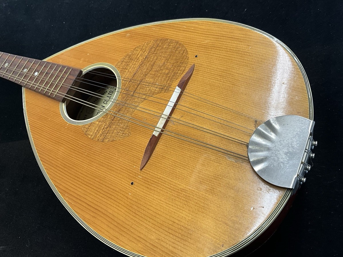Vintage 1969 Suzuki Violin Co Model 601 24” Mandolin JAPAN | eBay