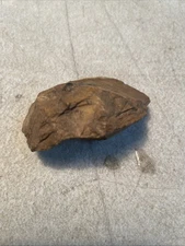 Primitive by face or hand decks found in southeast Missouri