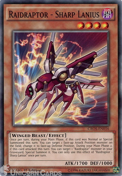 CROS-EN016 Raidraptor - Sharp Lanius : Common 1st Edition Mint YuGiOh Card
