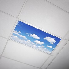 Octo Lights - Fluorescent Light Covers - Classroom, Office, Home - Cloud - 011
