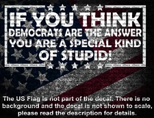 If You Think Democrats Are The Answer You're A Special Kind Of Stupid Decal