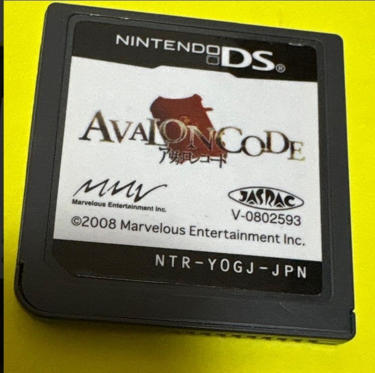 Avalon Code Nintendo DS Cartridge Only Used Japanese ver Tested Action RPG Game