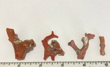 Rare 4 Natural Red Mediterranean Coral Branches, 20.0 grams