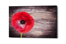 Epic Graffiti 'Luxury On Rustic' Canvas Wall Art, 60"x40" 40L" x 60W"